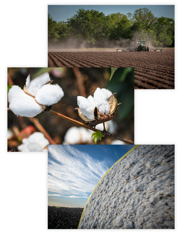 ABWEP Success Story_custom-photography