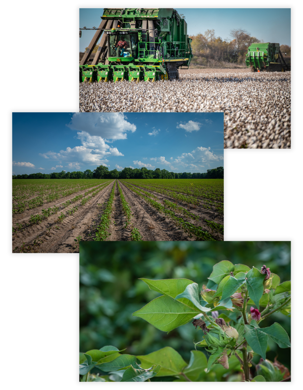 ABWEP Success Story_custom-photography2
