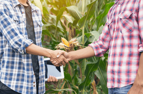 SPB Social Media Success Story_handshake-in-field
